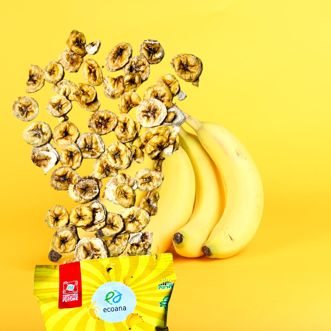 POS - WOW! The Banana Bros Chips (20g)